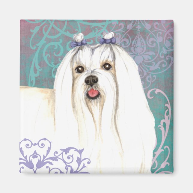 Elegant Maltese Magnet (Front)