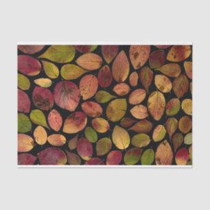 Elegant Maple Leaves Autumn Fall Pattern Tissue Paper