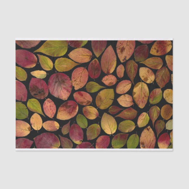Elegant Maple Leaves Autumn Fall Pattern Tissue Paper (Front)