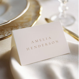 Elegant Minimalist Ivory Taupe Wedding Place Card