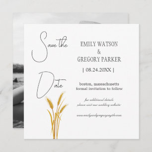 Elegant minimalist photo of wheat fields save the date