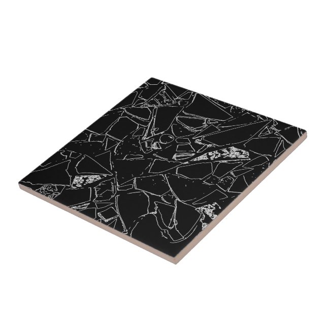 Elegant Modern Classy Terrazzo Black White Pattern Ceramic Tile (Side)