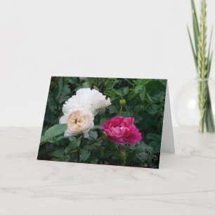 Elegant Modern Cream Pink Roses Flowers Get Well Card