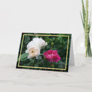 Elegant Modern Cream Pink Roses Photo Golden Frame Card