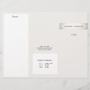 Elegant Modern FAUX Silver Striped Salon Brochure