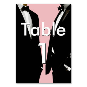 Elegant Modern Gay Men Wedding Rainbow Table Number