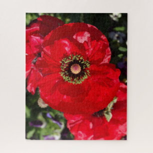 Elegant Modern Photo California Red Poppy Flower Jigsaw Puzzle