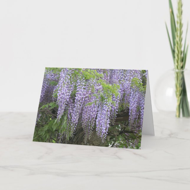 Elegant Modern Purple Wisteria Flowers Get Well Card (Front)