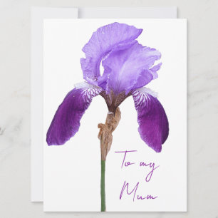  Elegant Mother's day purple iris floral boho    Holiday Card