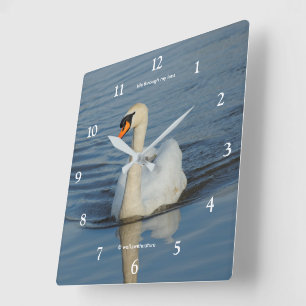 Elegant Mute Swan Waterbird on the Lake Square Wall Clock