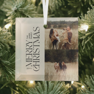 Elegant natural foliage modern minimal multi photo glass tree decoration