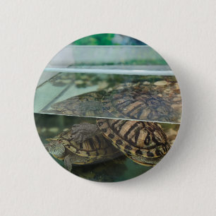 Elegant Nature-Inspired Button Pin