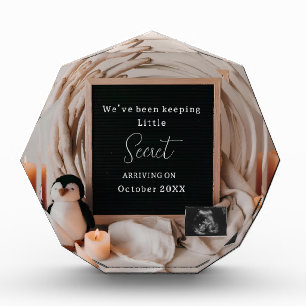 Elegant neutral Penguin Pregnancy Announcement Photo Block