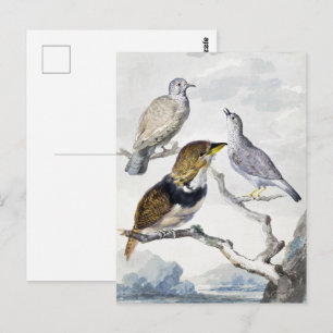 Elegant Neutral Tone Birds on Branch Art Postcard