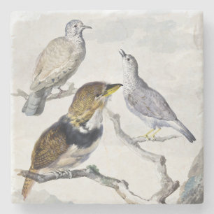 Elegant Neutral Tone Birds on Branch Art Stone Coaster