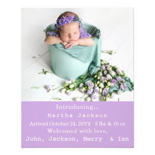 Elegant Newborn Girl Birth Nursery New Baby Photo