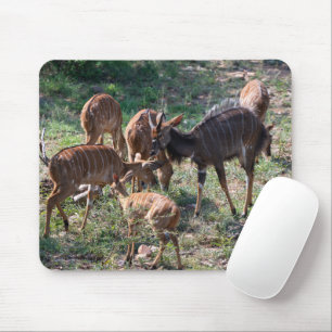 Elegant Nyala Antelope Wildlife Photo Mouse Pad