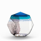 Elegant Ocean Coastal Shells Beach