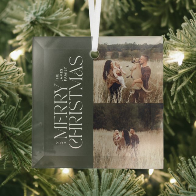 Elegant olive green foliage modern minimal photo glass tree decoration (Insitu)