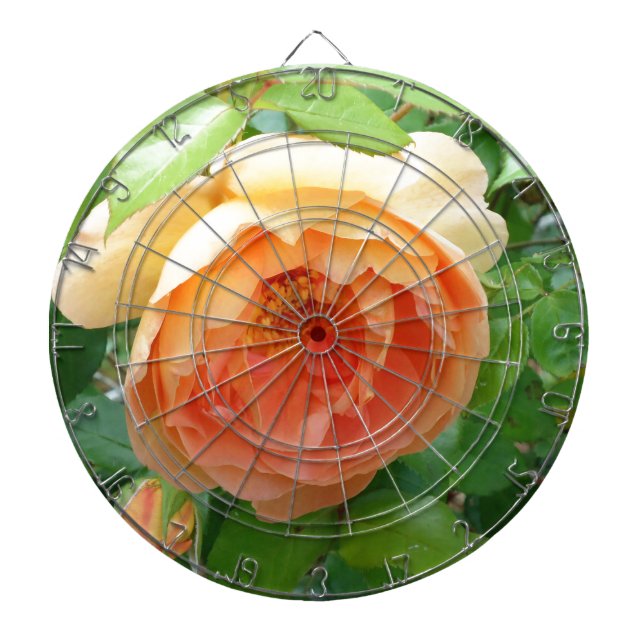 Elegant Orange Blush Rose Dartboard (Front)