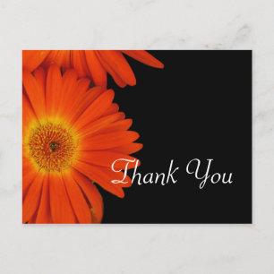 Elegant orange gerbera daisy flowers wedding favou postcard