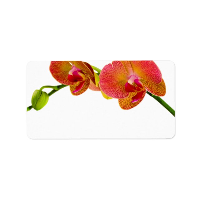 Elegant Orange Orchids Custom Blank Labels (Front)