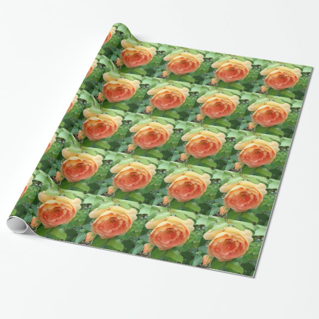 Elegant Orange Roses Wrapping Paper (Unrolled)