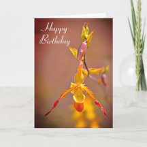 Elegant Orange Yellow Orchid Flower Happy Birthday