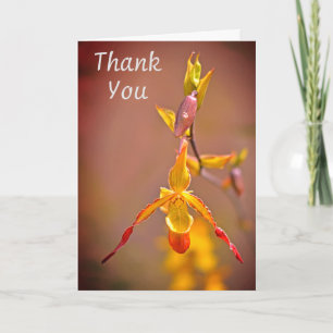 Elegant Orange Yellow Orchid Flower Thank You Card