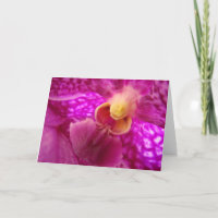 Elegant orchid graphic photo