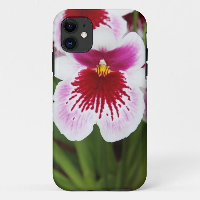 Elegant orchid iris graphic photo iPhone 5case Case-Mate iPhone Case (Back)