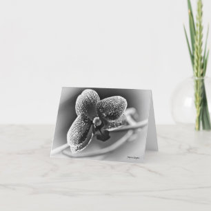 Elegant Orchid notecard Card, black & white
