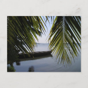 Elegant Palm Boat Lake Love Shower Peace Destiny Postcard