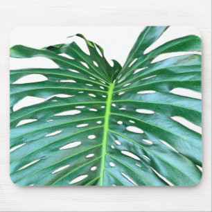 Elegant Palm Leaf tropical jungle rainforest leaf Mouse Pad