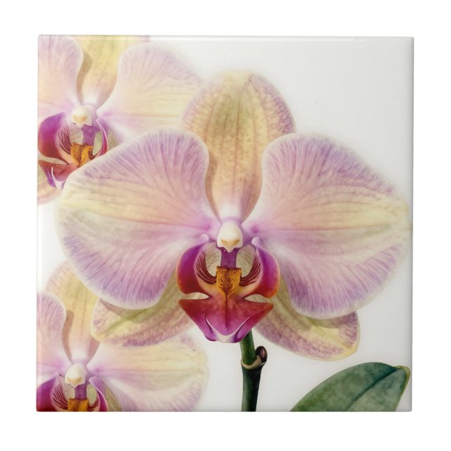 Elegant Pastel Purple Orchid Bloom Ceramic Tile (Front)