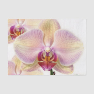Elegant Pastel Purple Orchid Bloom Tissue Paper