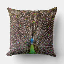 Elegant Peacock Bird and Feather Artwork