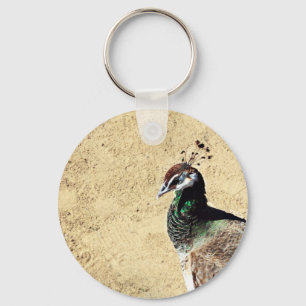 Elegant Peacock Bird and Feather Artwork Key Ring
