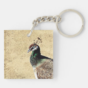 Elegant Peacock Bird and Feather Artwork Key Ring