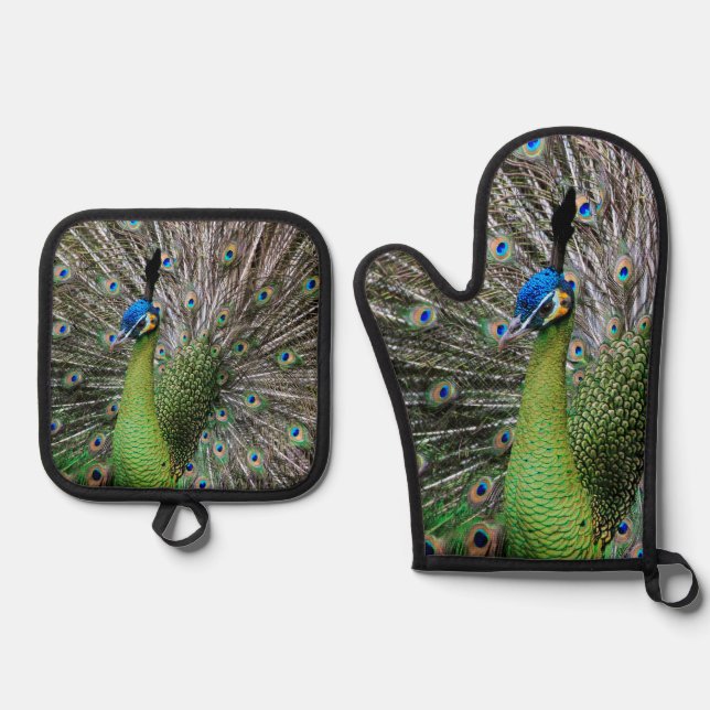 Elegant Peacock Bird and Feather Artwork Oven Mitt & Pot Holder Set (Front)
