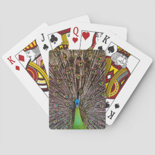 Elegant Peacock Bird and Feather Artwork Playing Cards