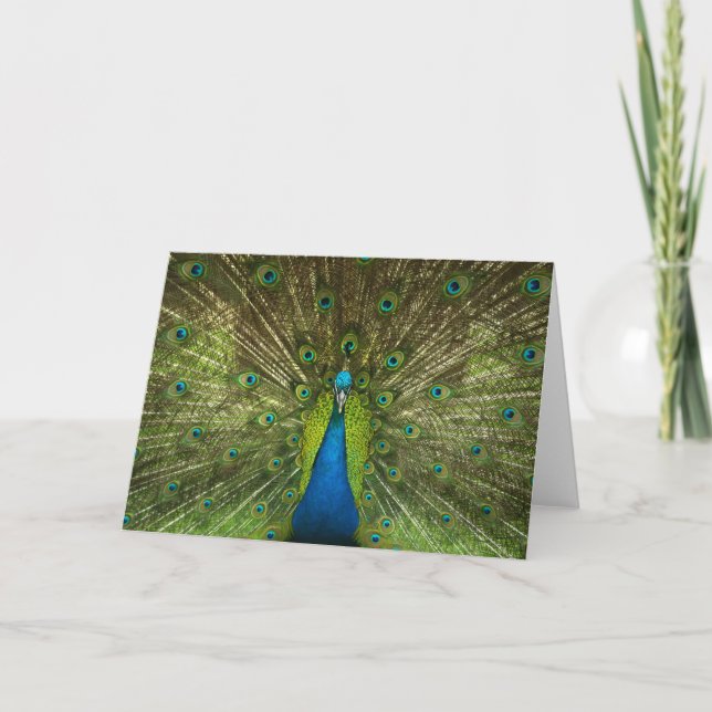 Elegant Peacock Blue Green Feathers Photo Card (Front)