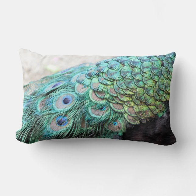 Elegant Peacock Feathers Lumbar Throw Pillow (Front)