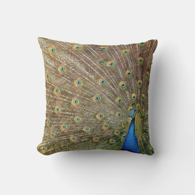 Elegant Peacock Feathers | Throw Pillow (Front)