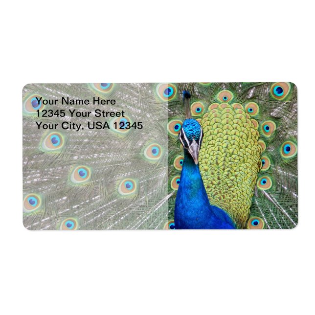 Elegant Peacock Photograph (Front)