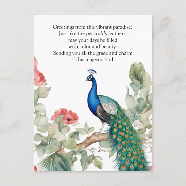 Elegant Peacock Postcard (Front)