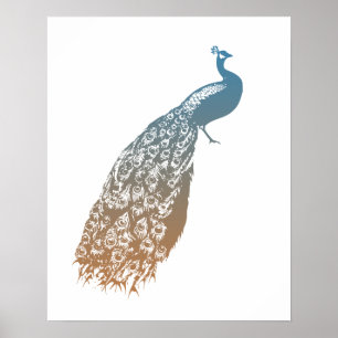 Elegant Peacock Poster