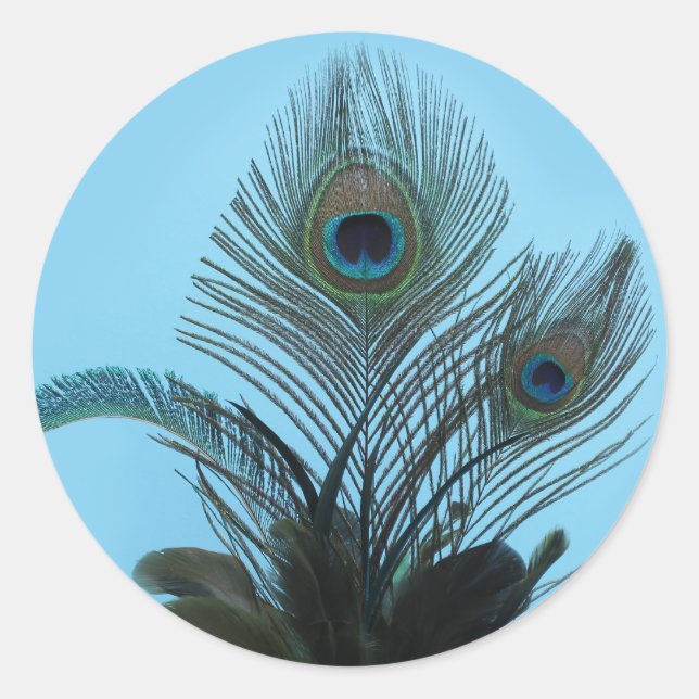 Elegant Peacock Sticker (turquoise) (Front)