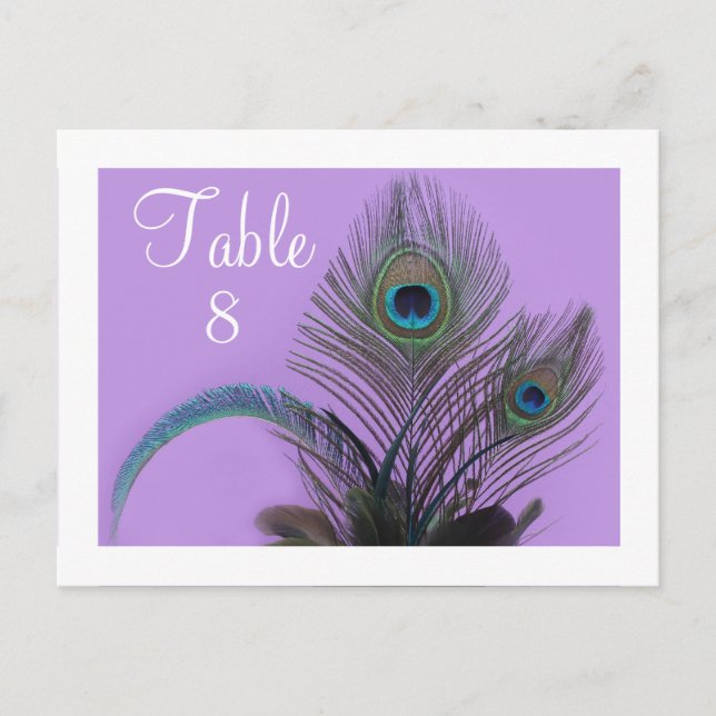 Elegant Peacock Table Number - white border Postcard (Front)