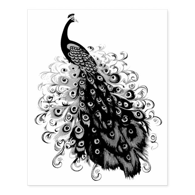 Elegant Peacock with Elaborately Detailed Tail Rubber Stamp (Imprint)